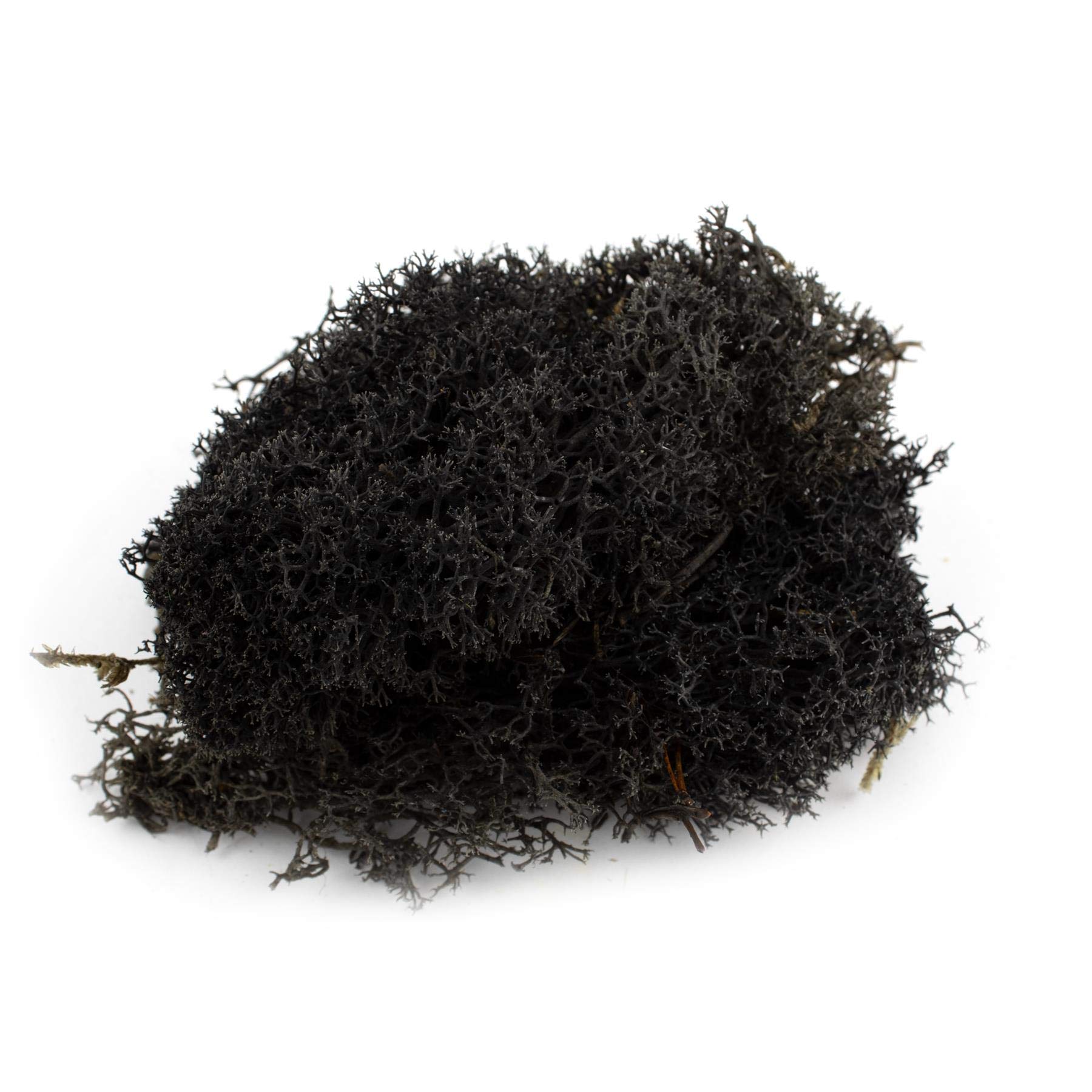War World Scenics Lichen Black Moss Model Foliage 100g – Model Railway Wargame Scenery Landscape Modelling Trees Bushes Hedges Diorama Basing Material