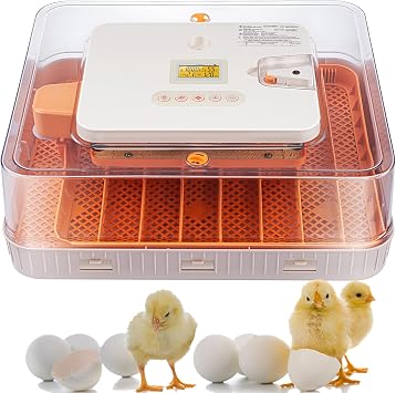 56 Egg Incubator, Fully Automatic Egg Turner & Humidity Control, High Hatch Rate Poultry Incubator with LED Candler, 360 View for Chicken, Duck, Quail Eggs Beginner Friendly