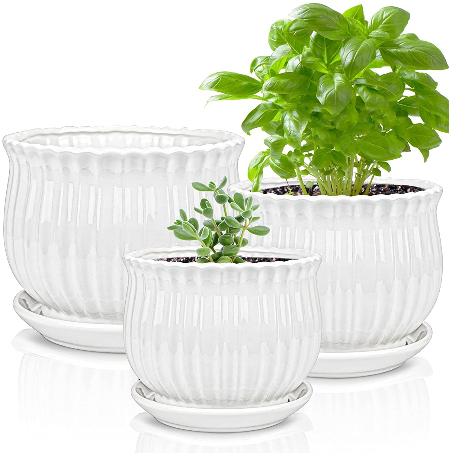 Garden Art Ceramic Plant Pots in White Colour, Set of 3(10.3+4+17cm Dia), Planters with Drainage Hole and Saucer, Indoor Plant Pot with Hole,Office Gift (GA11003-W) (B0B5DSC6CZ) Amazon Price History, Amazon Price Tracker