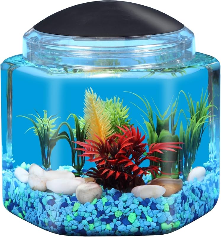 Kit para Iniciantes em Aquário Koller Products BettaTank Hexagonal com Iluminação LED 3,79 L AP10001GB