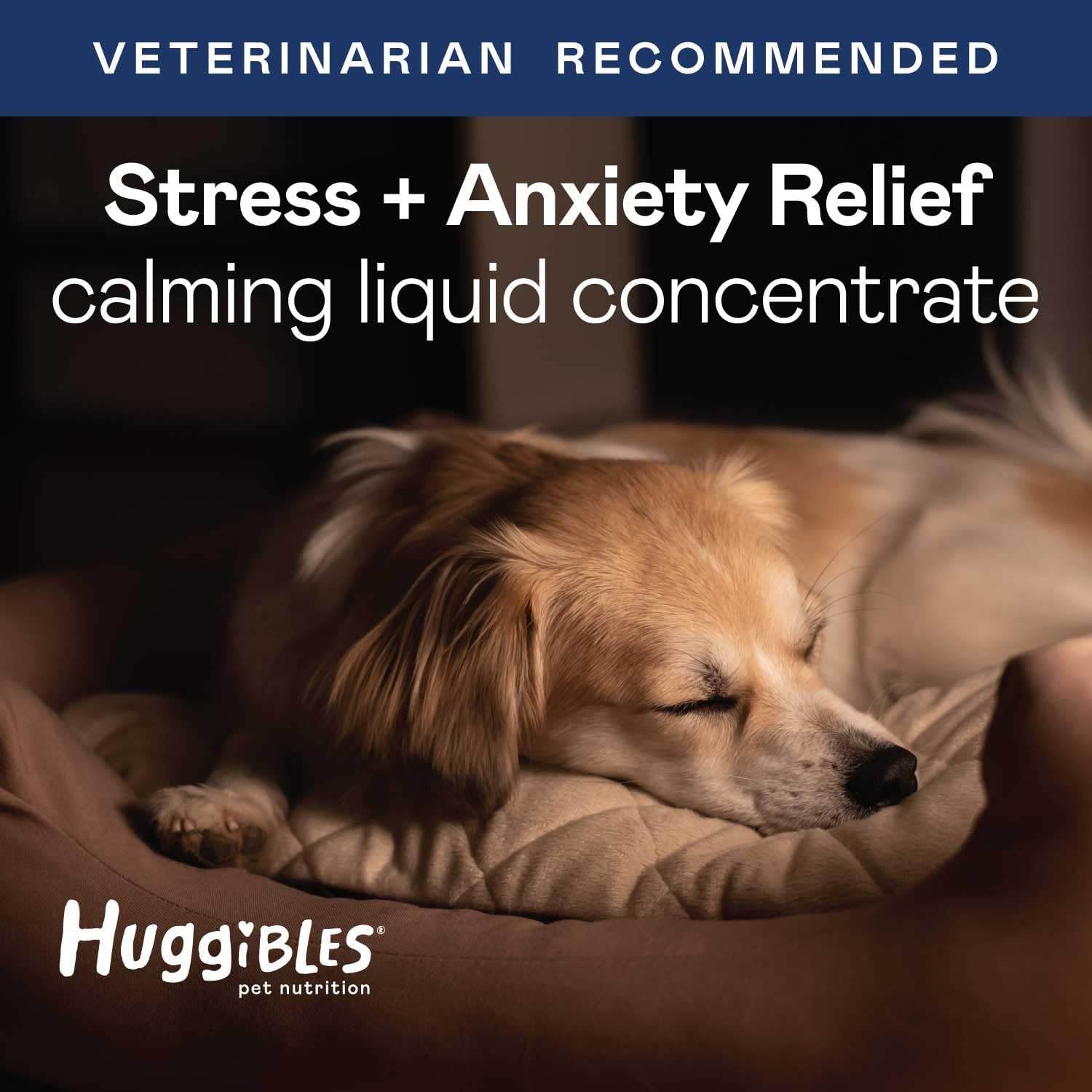 HUGGIBLES All-in-One Multivitamin and Stress & Anxiety Liquid Bundle for Dogs and Cats, Pet Food Additive for Digestive Support & Immunity - Calming Stress & Anxiety Support, Promotes Longevity : Pet Supplies