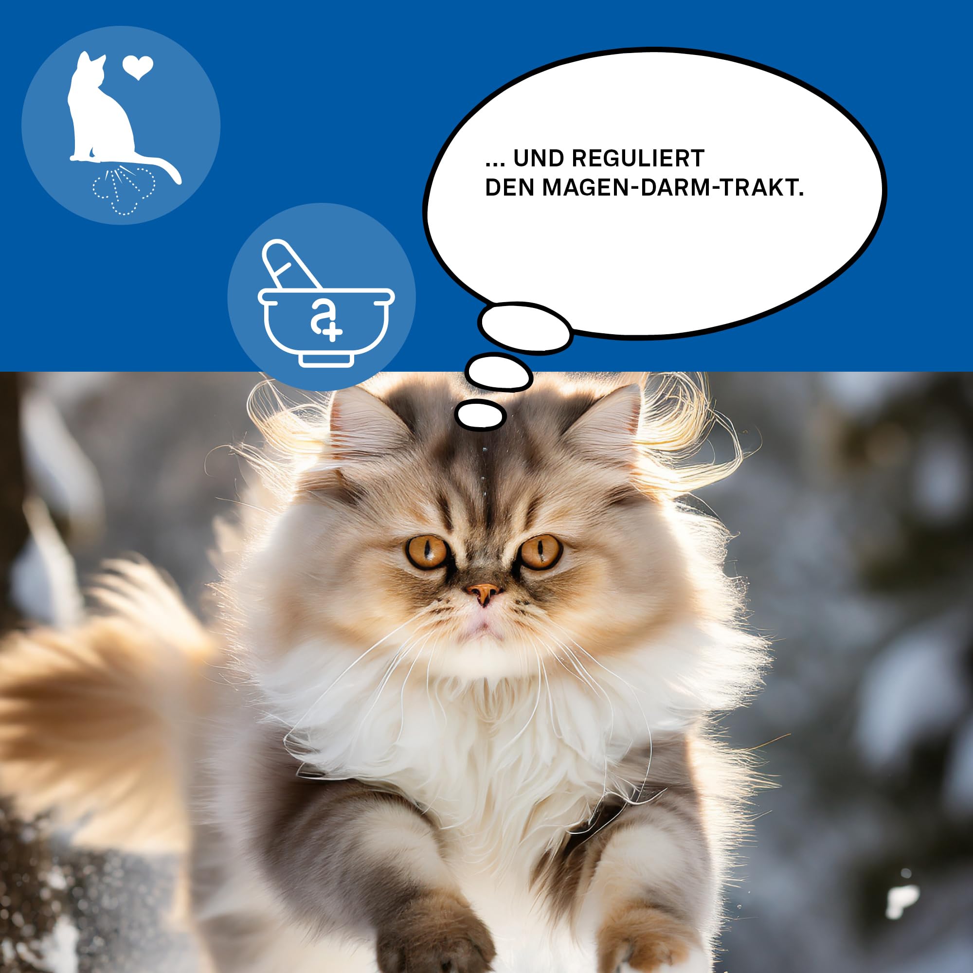 Kautabletten für Katzen bei Durchfall – Unterstützung für Verdauung & Darmflora – Mit Probiotika – 90 Stück – animaux Gastro Balance