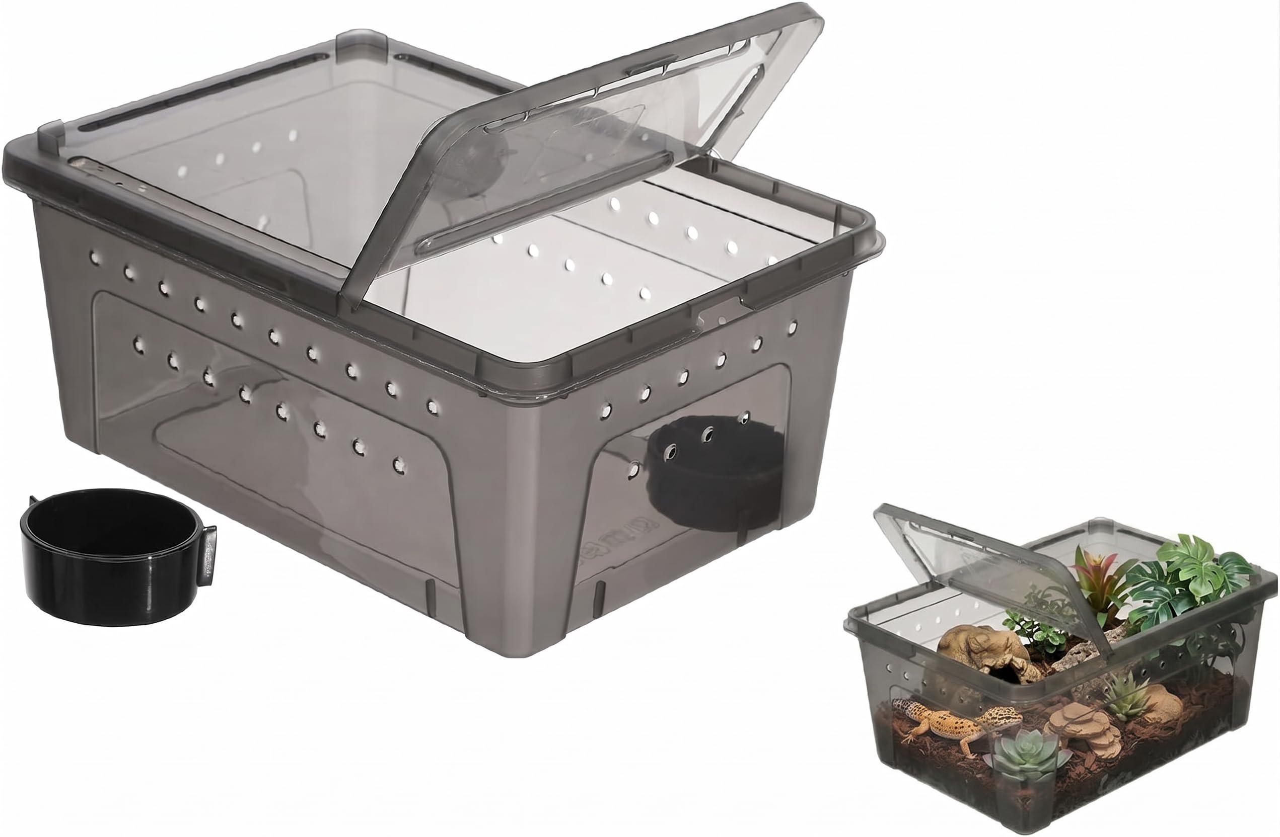 Angoily Reptile Box with Feeding Container 10.24X7.09X4.53In Ventilated Plastic Terrarium Pet Breeding Case for Small Crawlers and Lizards
