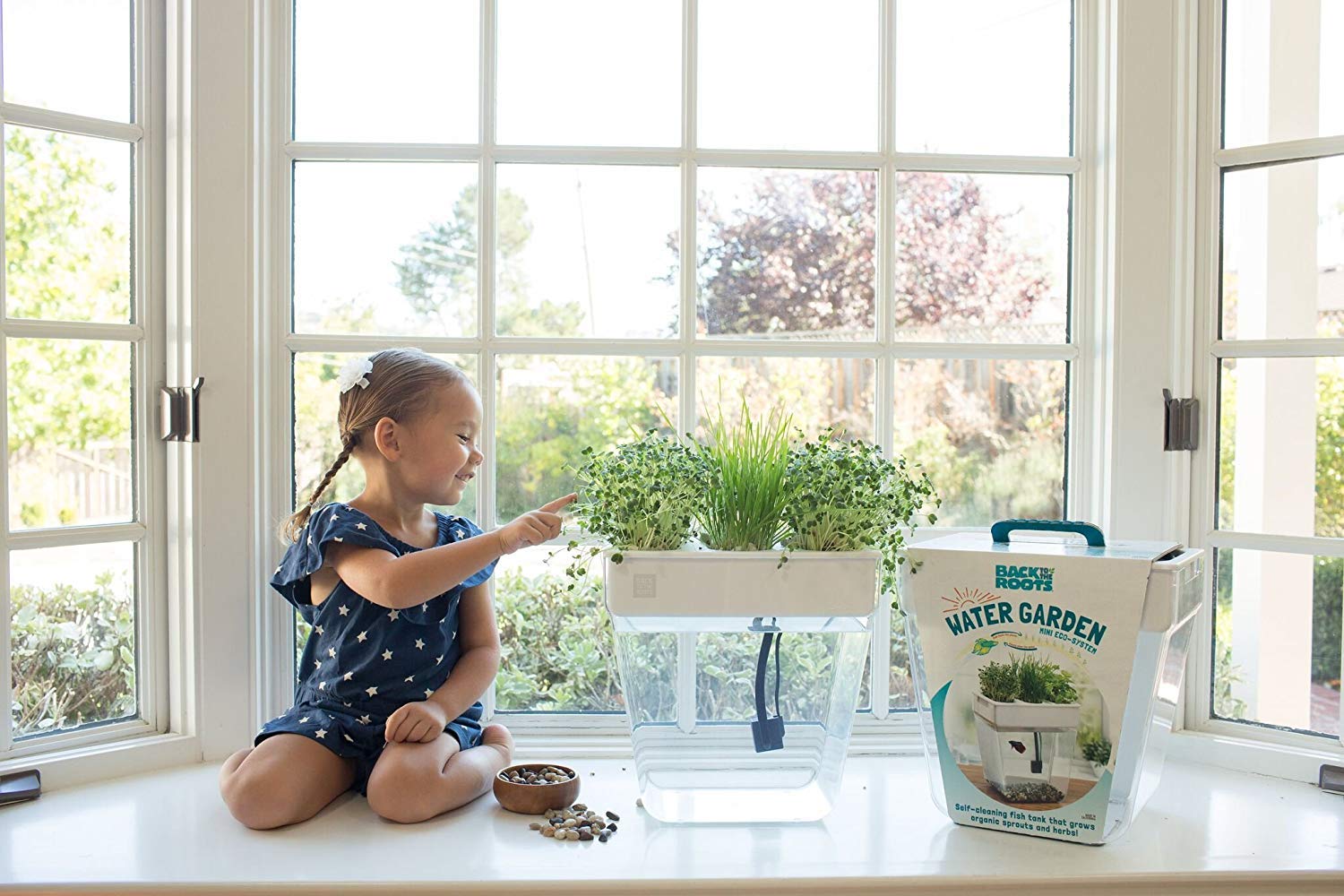 Back to the Roots Water Garden, Self-Cleaning Fish Tank That Grows Food, Mini Aquaponic Ecosystem (Great Gardening Gift & Family Project), 3 Gallons