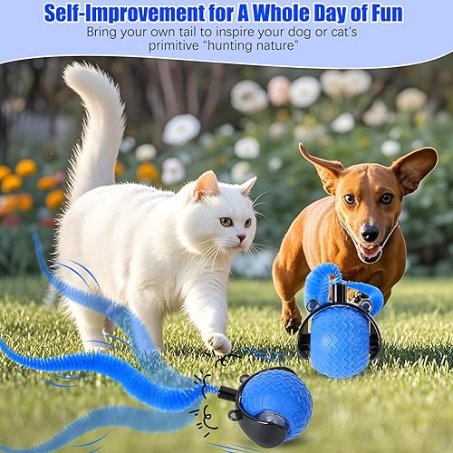 Miniatura 6 de nteractive - Pelota de juguete para gatos con ratón de imitación de cable, bolas inteligentes para evitar obstáculos, juguetes activados por