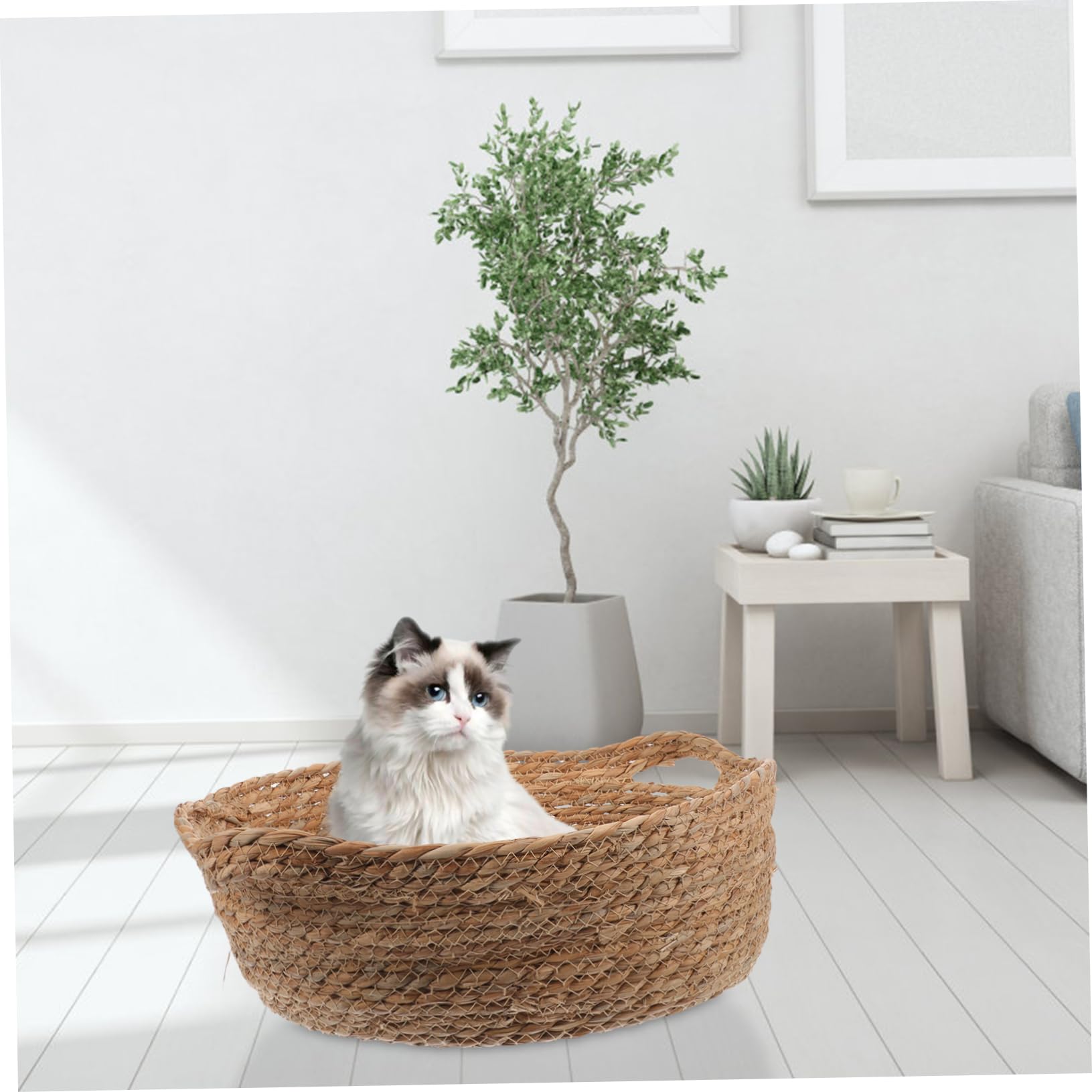 Sosoport Cama para De Tejida para Gatos Transpirable Diseño para Interior y Exterior Accesorio para Dormir y