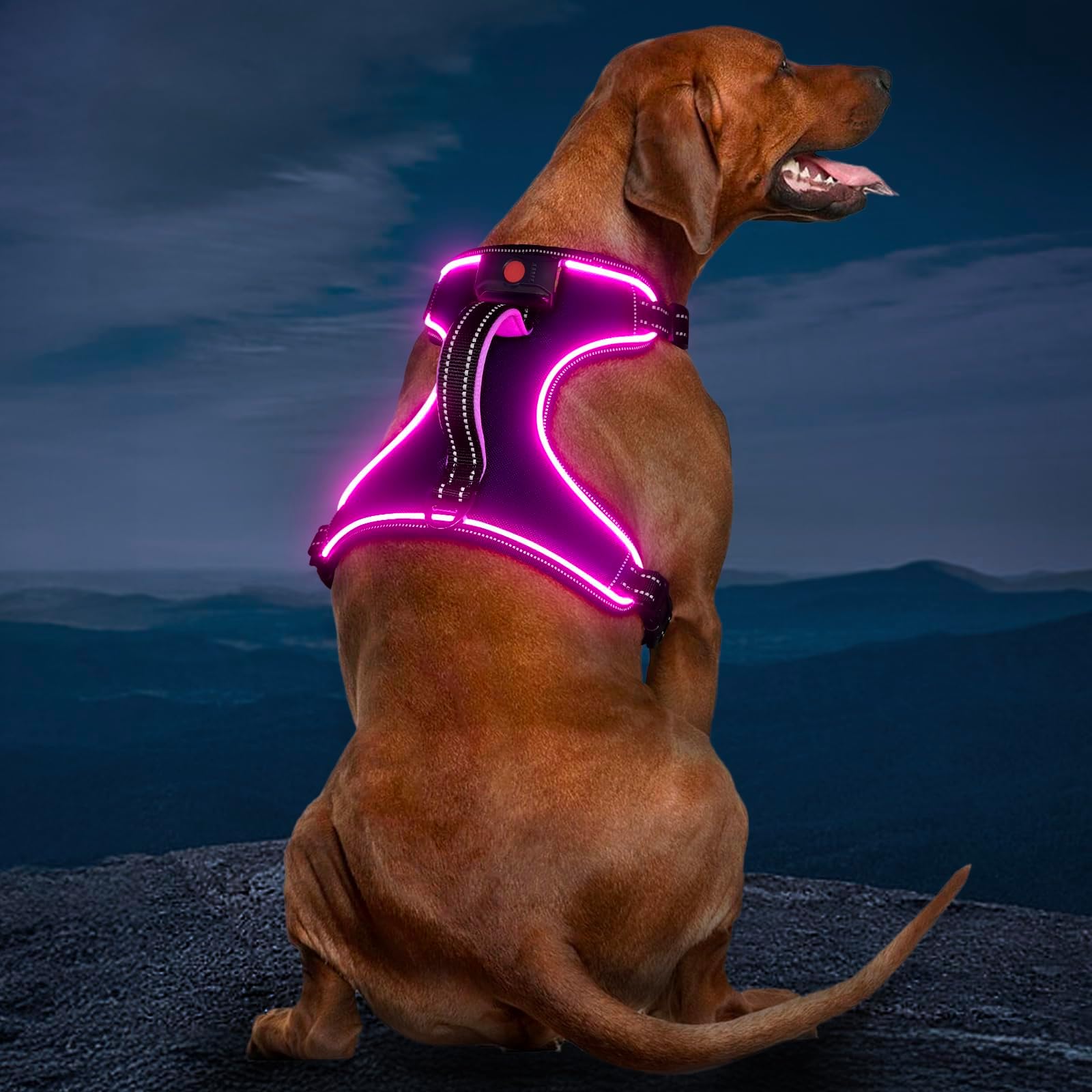 Light Up Dog Harness No Pull LED Dog Harness with Handle Rechargeable Lighted Dog Vest Harness for Small/Medium/Large/X-Large Size Dogs No Pull, 4 Point Adjustable Dog Harness