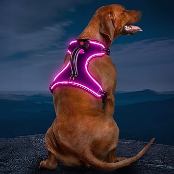 Light Up Dog Harness, No Pull LED Dog Harness with Handle, Rechargeable Lighted Safety Vest for Small Medium Large Dogs, Adjustable Soft Dog Lights for Night Walking