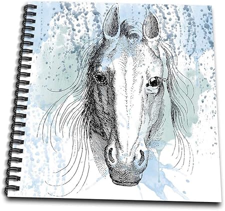 Amazon Co Jp 3drose Db 1 ブルー 水彩画 馬の絵本 8 8インチ ホビー