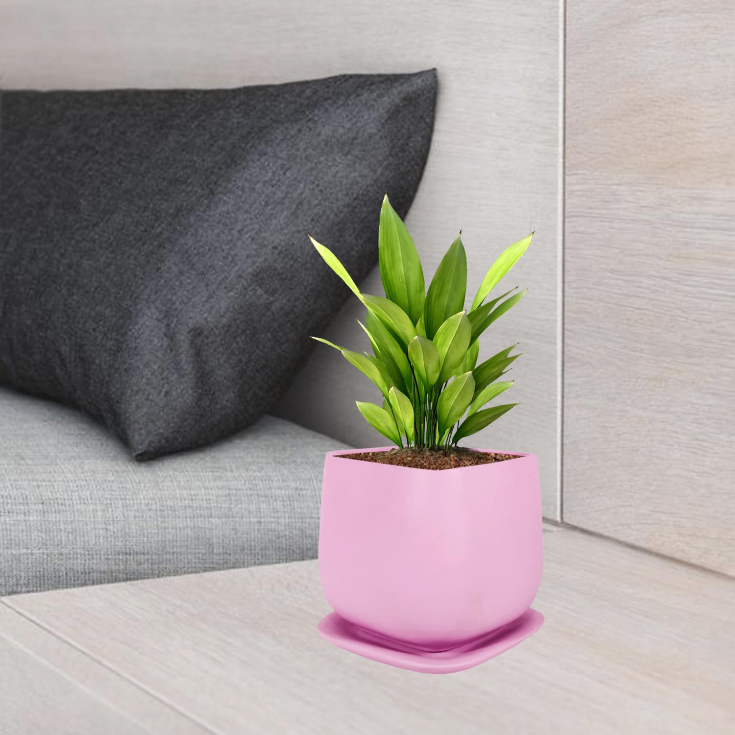 Lasaki Pearl Small Purple with Plate Ceramic Pots for Indoor Plants,Planters,gamla,Outdoor,Balcony,Home,Square,Garden,Office Decor,Succulent(L-10 X W-10 X H-9 cm)(Plants not Included) (B0CWL6593Q) Amazon Price History, Amazon Price Tracker