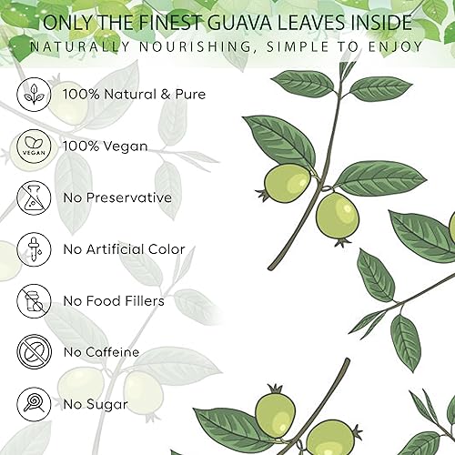 Miniatura 2 de Prime Ceylon Hojas de guayaba secas de 1 onza de hojas enteras Té de hierbas tropicales Hoja de Guayaba exótico Brew Auténtico Sri Lanka