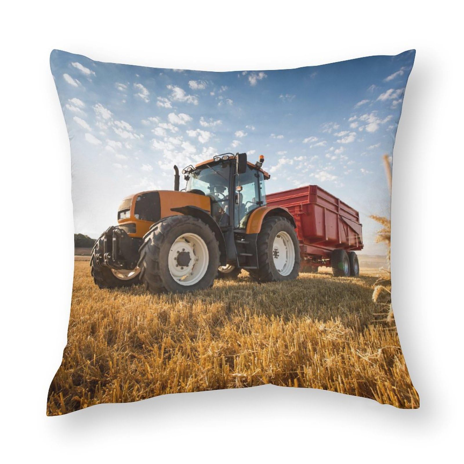 Federa Per Cuscino 35x35 Cm Con Stampa Divertente "Cavallo Che Guarda Me" | Fodera In Poliestere Con Cerniera | Senza Imbottitura