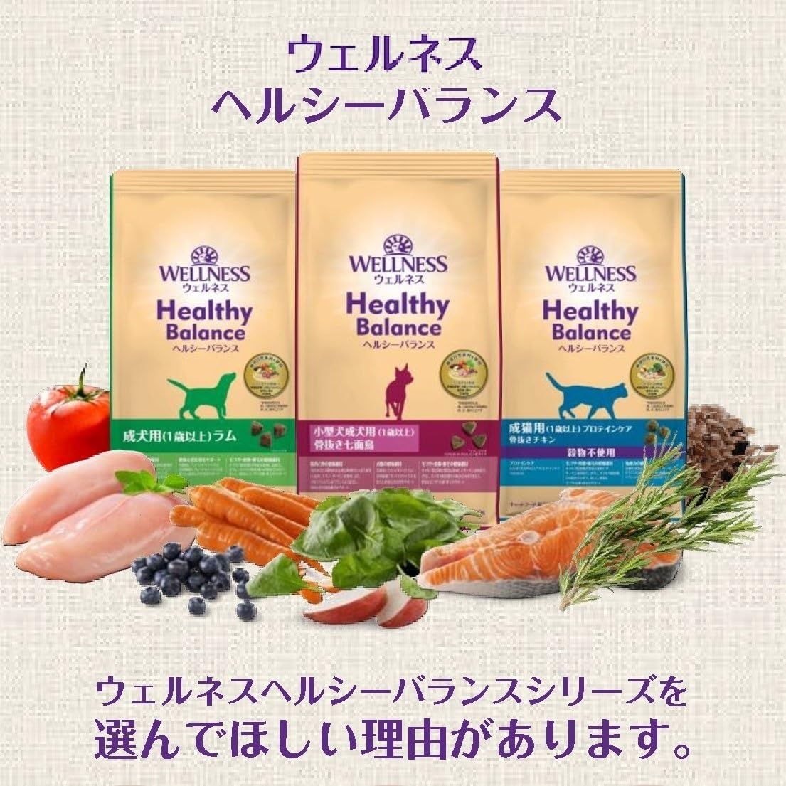 ウェルネス ヘルシーバランス4.5kg Amazon.co.jp: ウェルネスヘルシーバランス成犬用（1歳以上