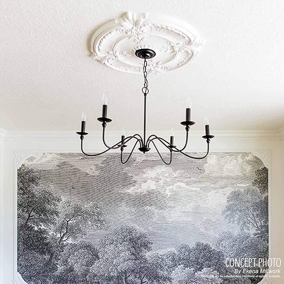 Ekena Millwork CM18RLBLF Riley Ceiling Medallion, Jet Black