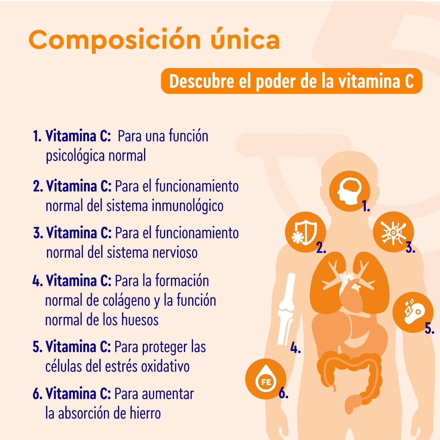 Vitamina C Natural 1.240mg - 240 Cápsulas - A base de Extractos de Acerola y Escaramujo - Refuerza el Sistema Inmunitario y el nivel de energía - Vitamina C pura - Probado en laboratorio