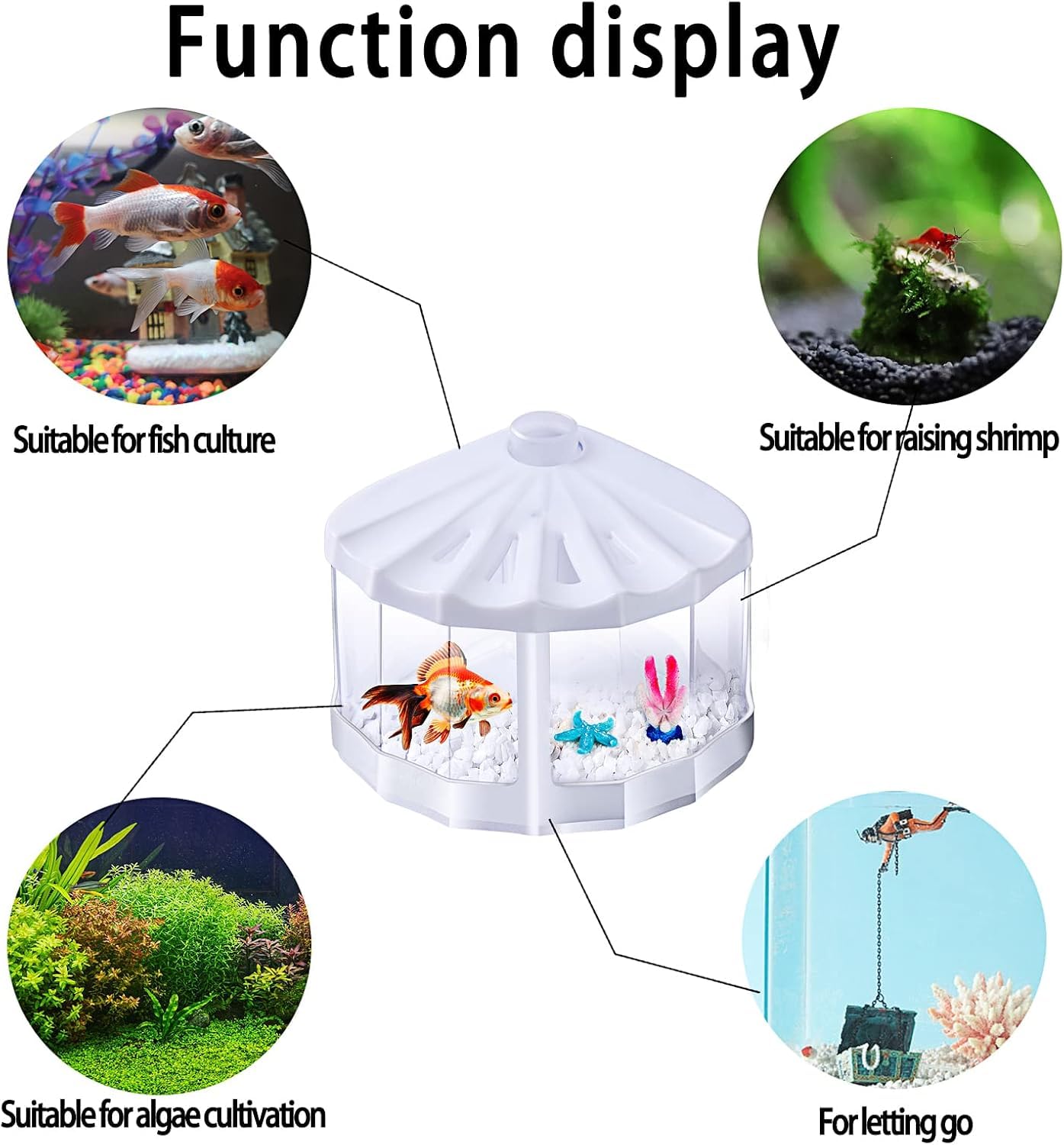 Small Shell Shaped Aquarium Kit With Gravel Plants 26oz Small Beta Fish ...