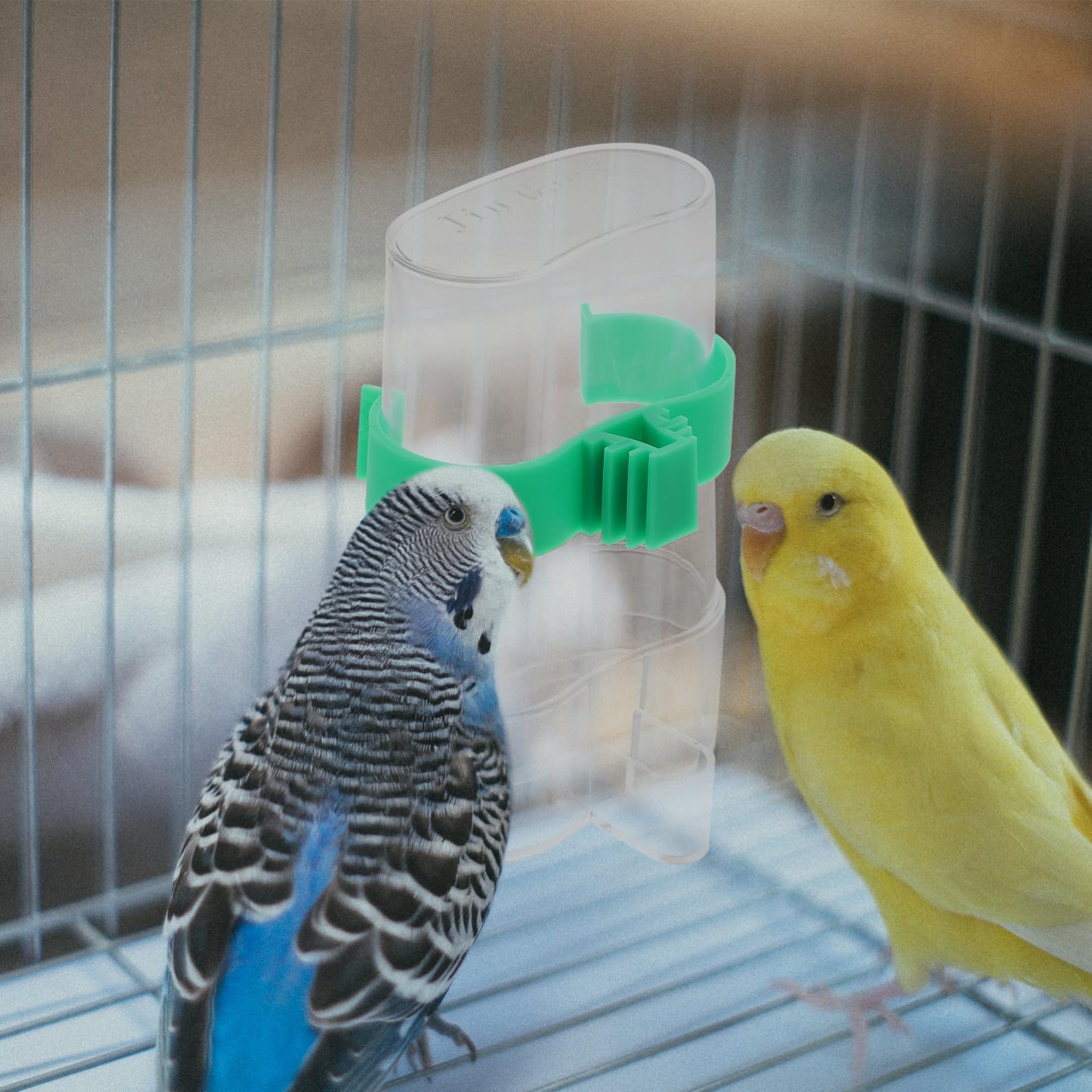 FRCOLOR 3 Set Di Erogatori Dacqua Per Uccelli Mangiatoia Per Polli E Abbeveratoio Mangiatoia Per Animali Domestici Design Sicuro E A Prova Di Perdite 2 Pezzi*3