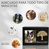 Ver la foto 4