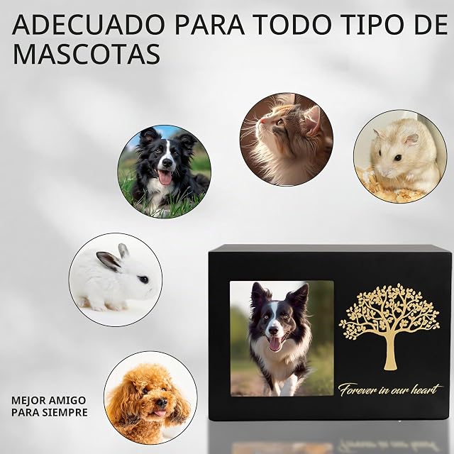 Foto 4 de 8 de DiDiBirDi Urnas para Mascotas para Perro o Gato