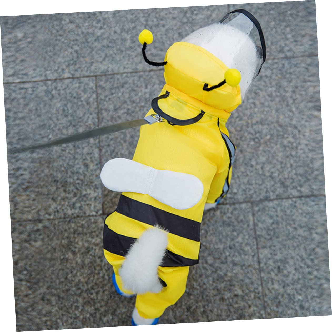 Angoily 3pièces Manteau De Pluie Étanche pour Chien Abeille Veste Élégante Et Respirante avec Capuche pour Chiens De Moyenne Et Petite Idéale pour Jours Pluvieux