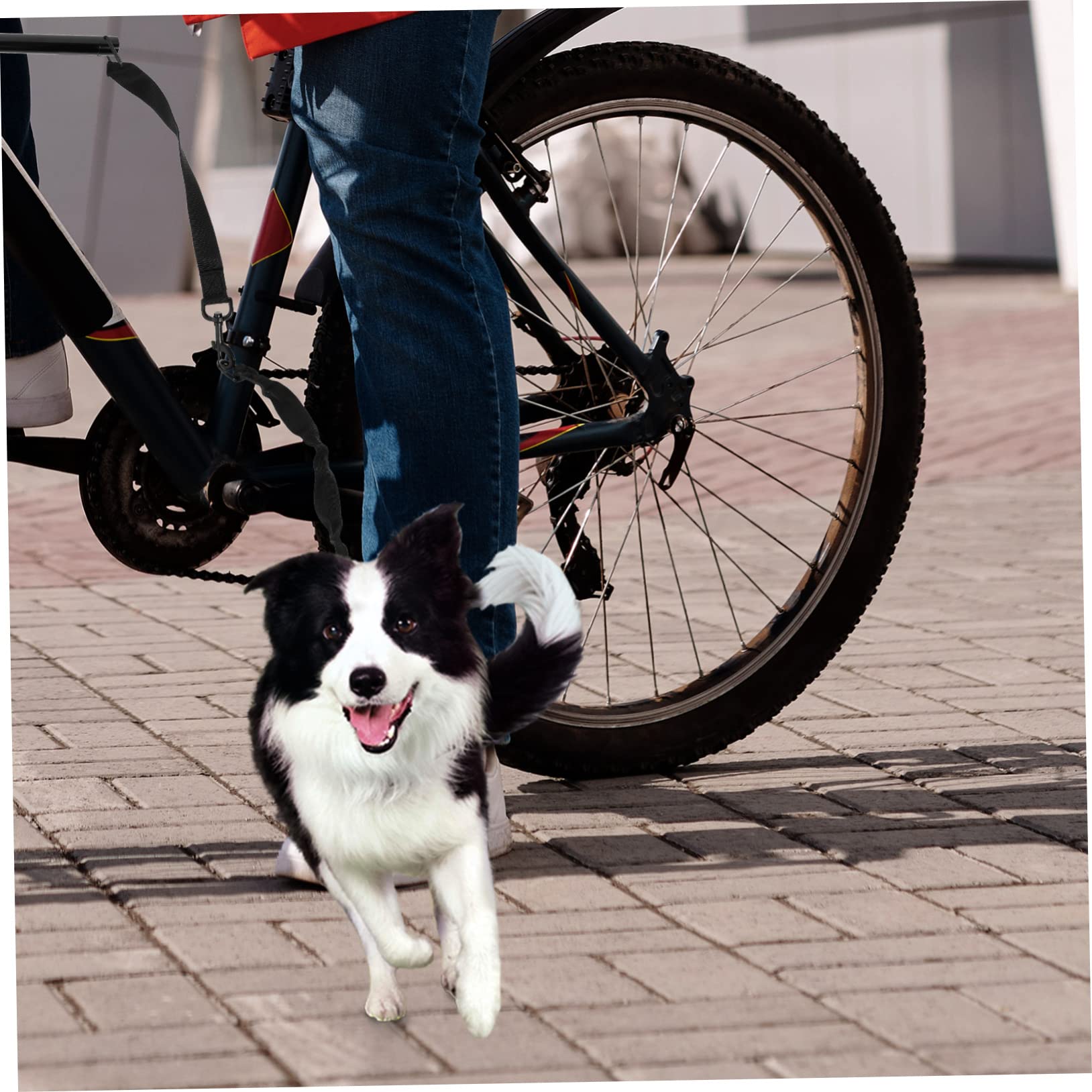 Laisse de Traction pour Chien Corde de Promenade Sécurisée Accessoire de Dressage pour Chiots Confortable et Durable Noire