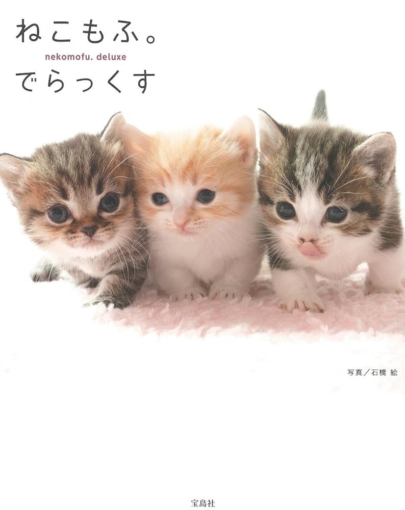 ねこ◎プロフ必読 ねこもふ。でらっくす | 石橋 絵 |本 | 通販 | Amazon