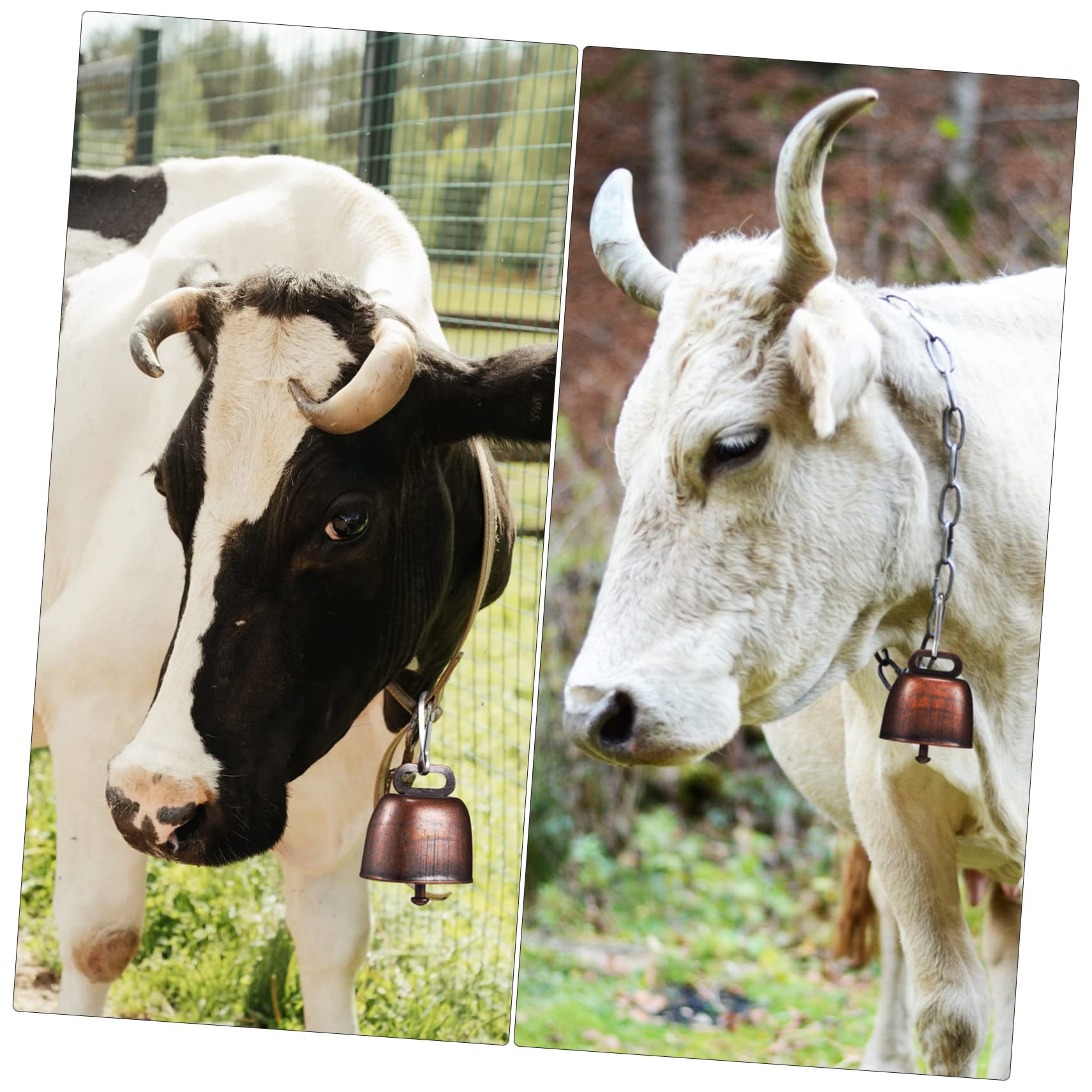 Amazon.co.jp: GANAZONO 12個牛鈴 羊用 大音量メタルベル アンチロスト