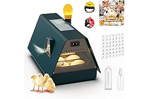 Incubator for Hatching Chickens/6 Accessories, Small Chicken Egg Incubator with Turning -...