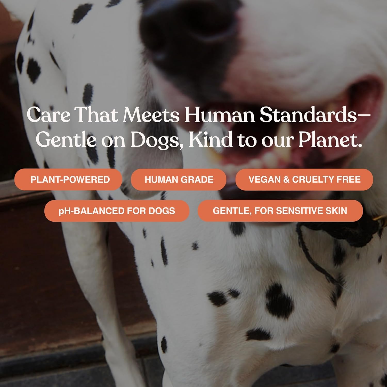 Dandylion Soft Paws Paw Lotion with Brush | Fragrance-Free Dog Paw Moisturizer for Itchy, Dry, Cracked Dog Paws | pH-Balanced | 0.6 fl oz - image 7