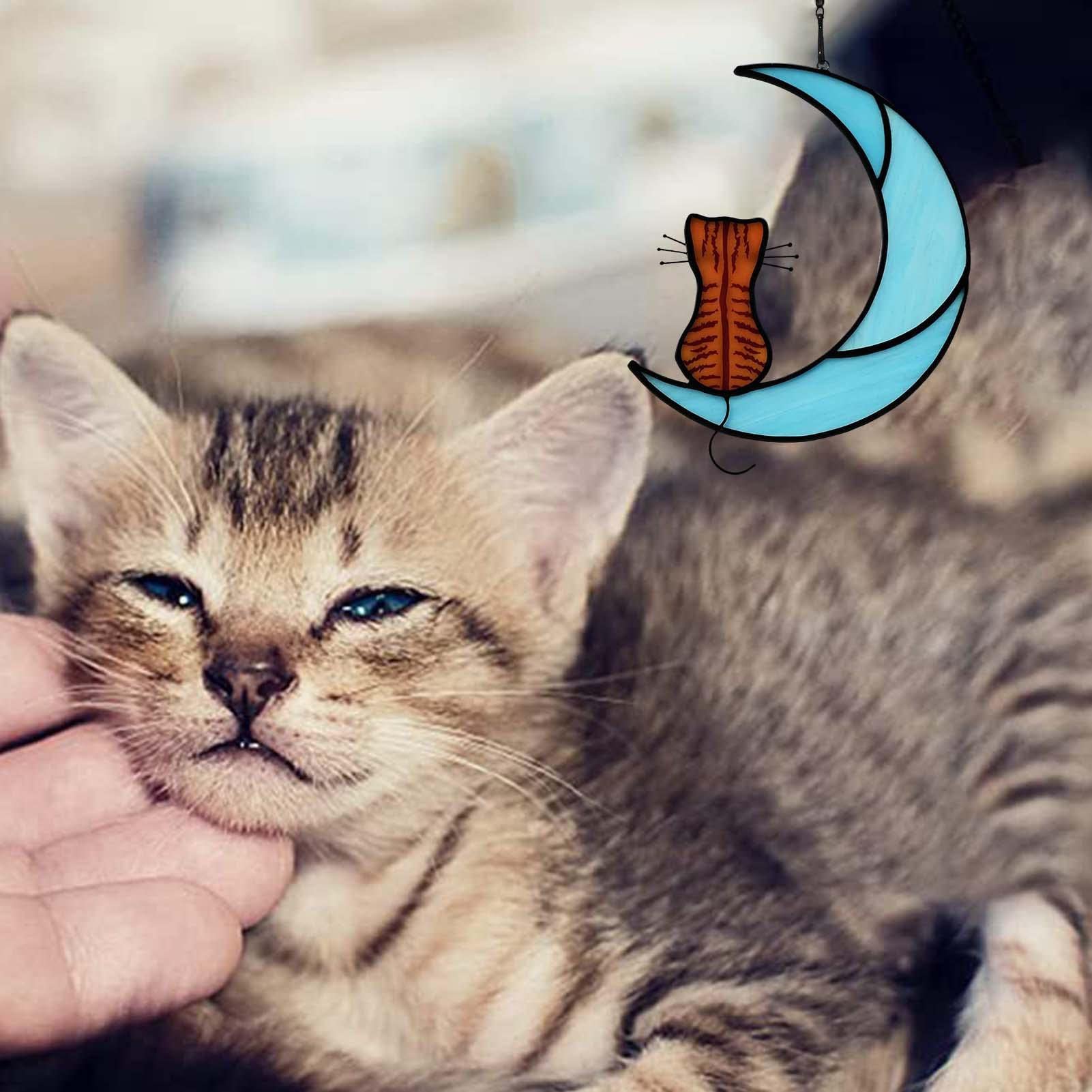Amazon.co.jp: 猫のサンキャッチャー | 写真 ステンドグラスの猫猫の
