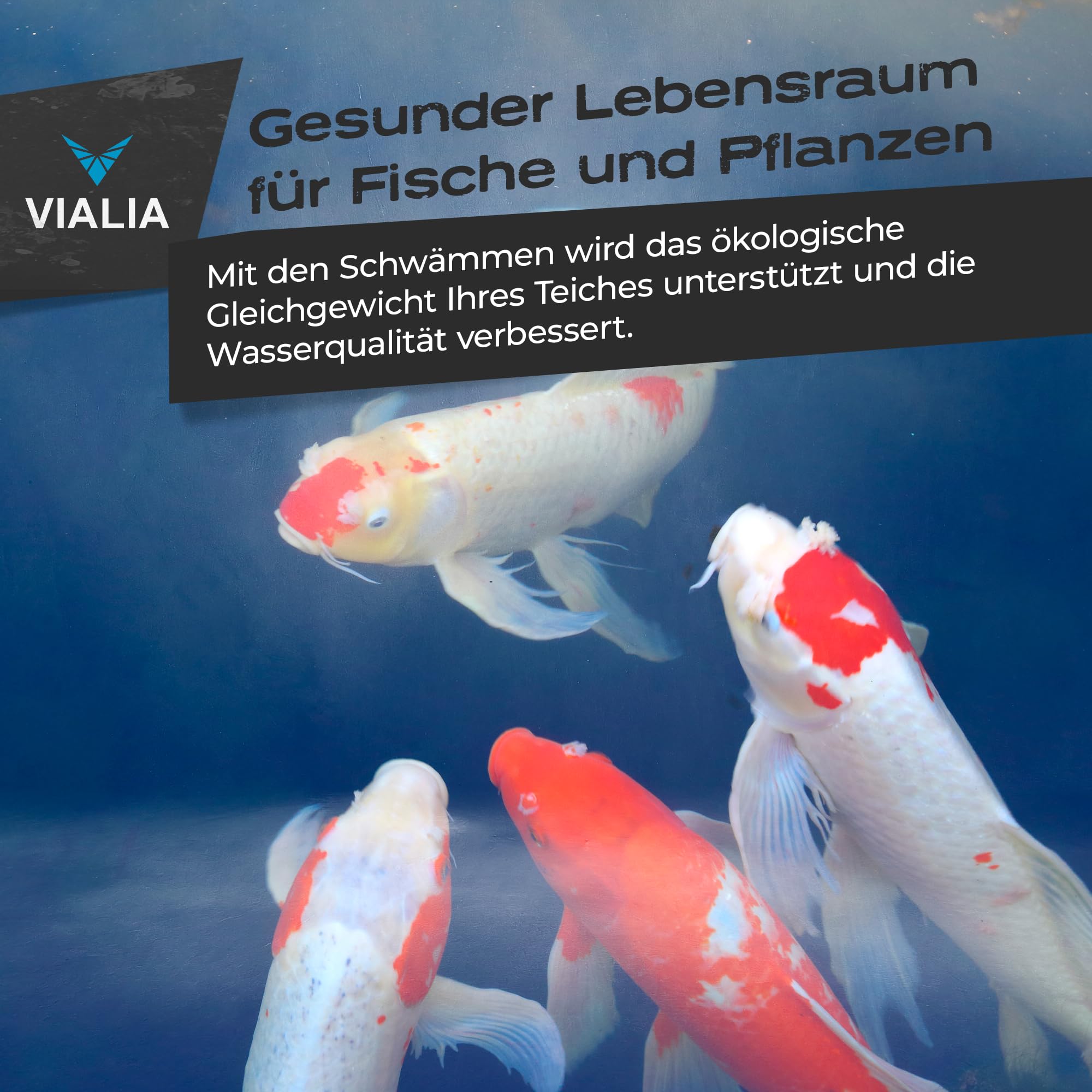 13er Set Filterschwämme Ersatzteile für Kammerfilter CBF-350B | 8 blaue und 4 gelbe Schwämme, 22,5x20x8,5 cm, 1 Japanmatte, hohe Wasserdurchlaufmenge, einfache Reinigung