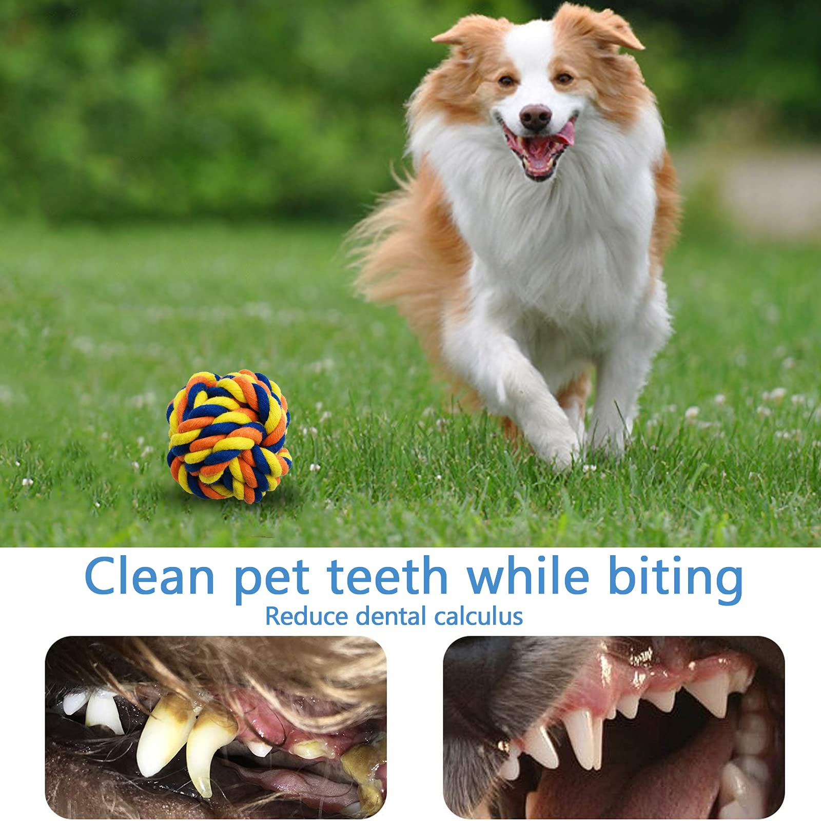 Corda Per Cani Grandi In Cotone - Giocattolo Resistente Per Tiro Alla Fune E Pulizia Denti - Foto 9