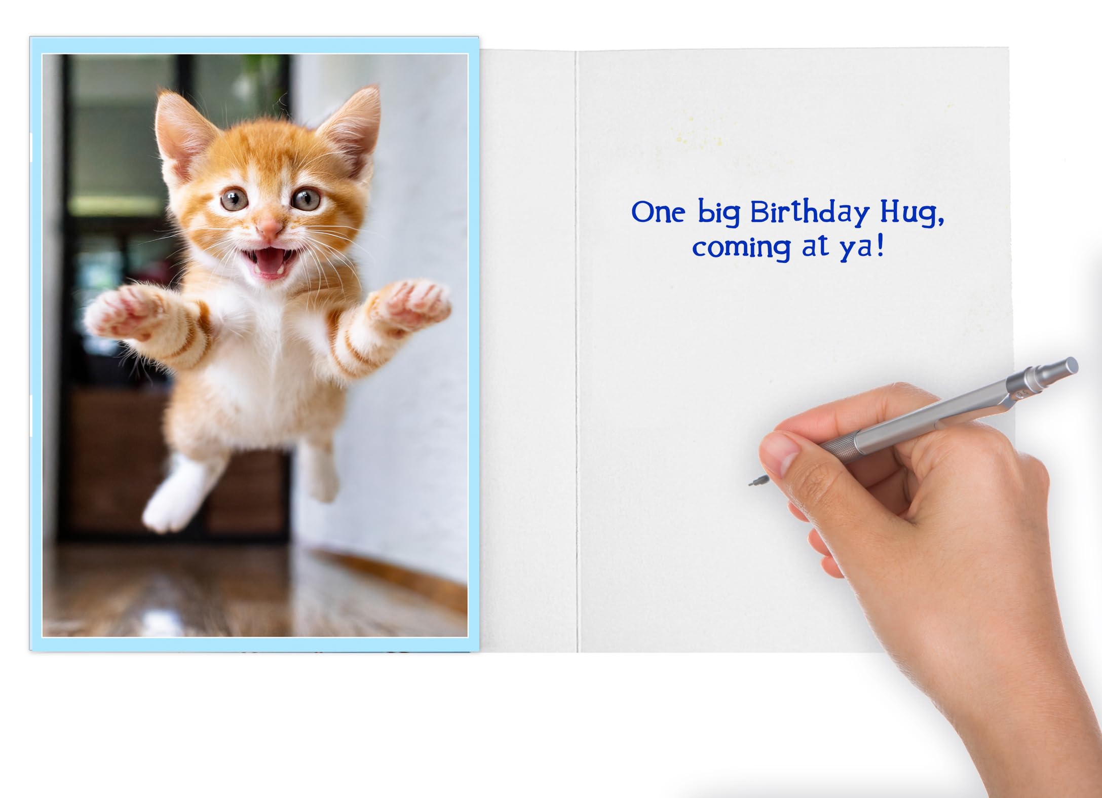 Premium Happy Birthday Card With Envelope - Funny Cool Cat Design | Blank Inside For Personal Message