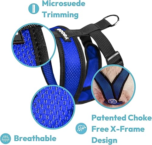 Miniatura 4 de Gooby Comfort X Head-In - Arnés para perro con diseño en X patentado anti ahogo y anti tirones para perros pequeños o medianos, para uso en