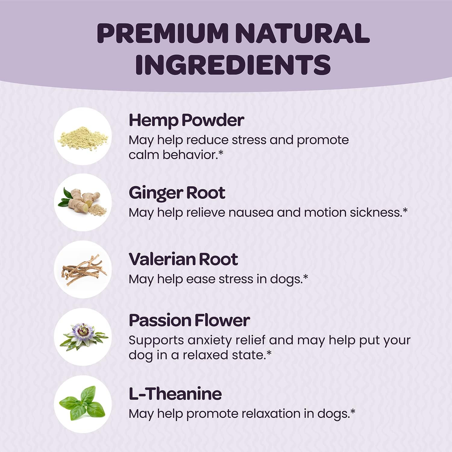 Ready Pet Go! Calming & Multivitamin Chews for Dogs | Vitamins for Skin, Coat, Hip & Joint Health | Helps with Dog Anxiety, Separation & Barking | 90 Chews Each