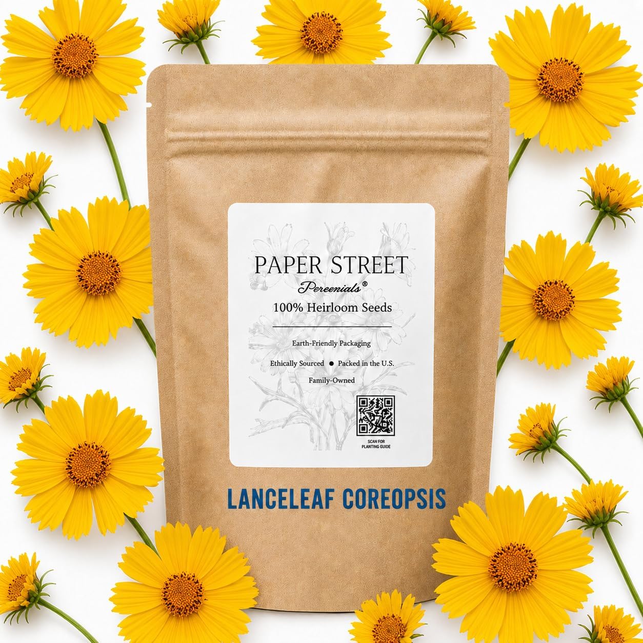 Lanceleaf coreopsis (Coreopsis lanceolata)