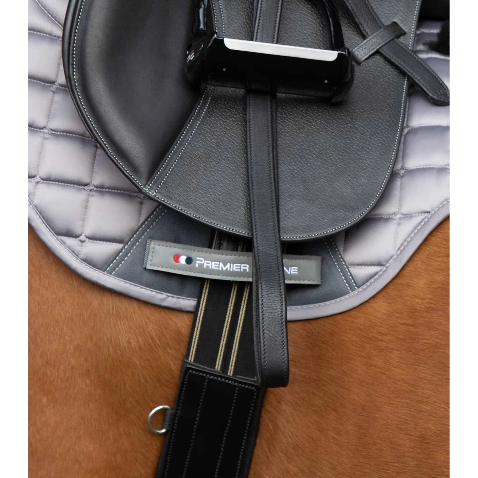 Premier Equine Cincha de equitación anatómica de Cuero Lizzano