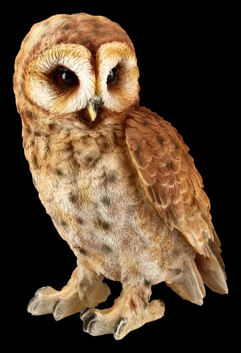 Figuras Shop GmbH búhos animales de figura – Bartkauz š Vogel-Figur, Deko-Figur, Deko-Artikel, Estatua, escultura, H 21 cm