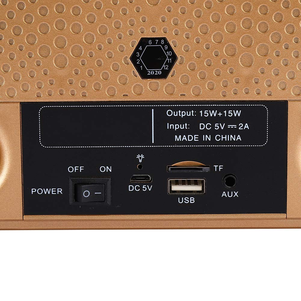 Bewinner1 Karaoke Bluetooth, Casse Karaoke con 2 Microfoni Wireless, PA Bluetooth Portatile, Altoparlante Karaoke con Supporto per Cellulare/USB/TF/AUX