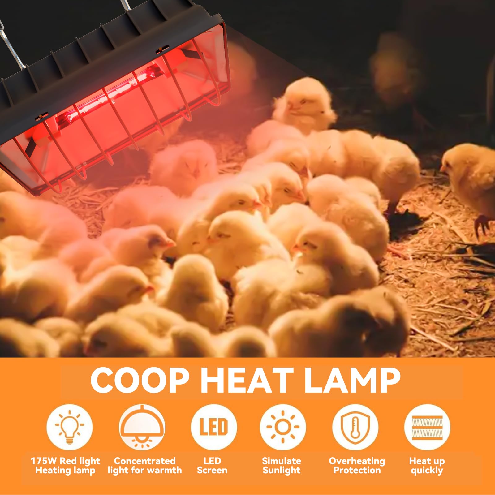Lampada a luce rossa per pulcini da 175 W, lampada di calore per animali e polli, cavo da 1,8 m, per pulcini, suinetti, cuccioli
