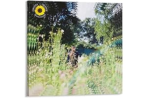 Sunflower Rex Orange County Art Canvas Poster