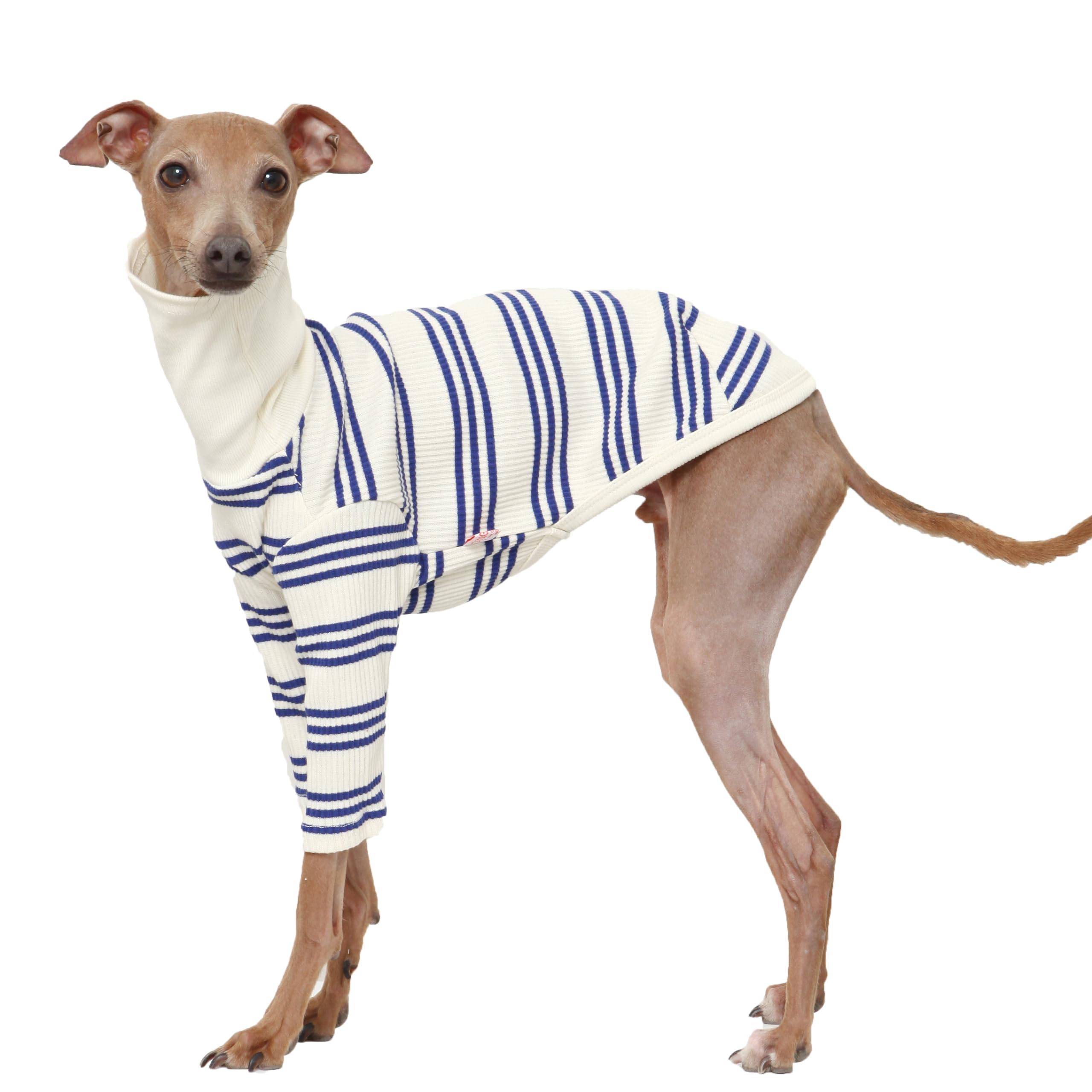D Doggy Star Italian Greyhound Clothes Flexible T Shirts Whippet for Dogs (L,Cobalt Stripe) — image 1