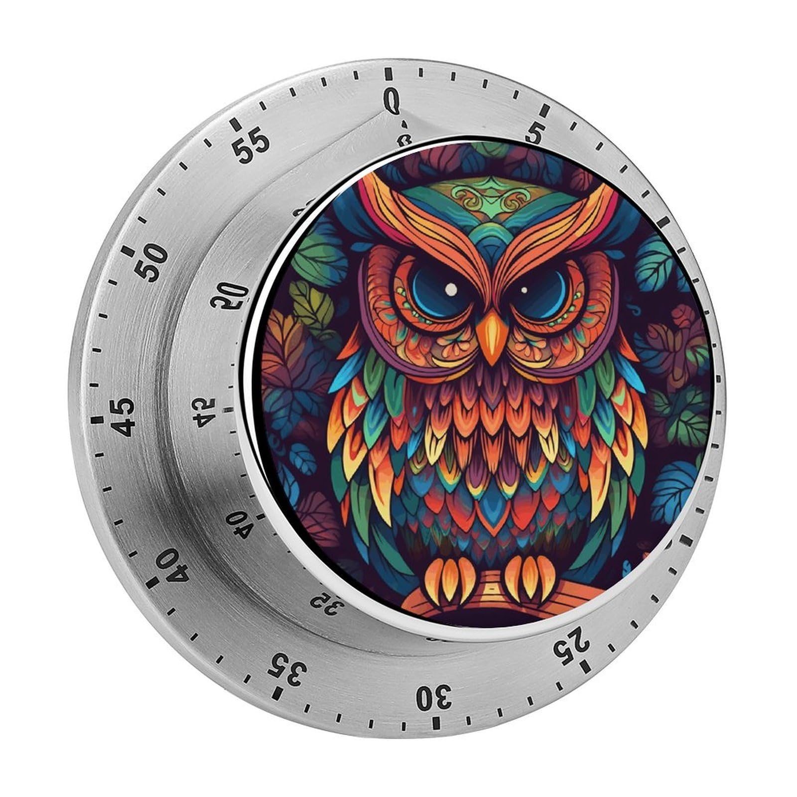 Color Owl Pattern Timer Exquisite Stainless Steel Body Mechanical Desk Timers 60 Minutes Visual Countdown Timers with Magnetic Backing Loud Alarm Kitchen Timer for Cooking