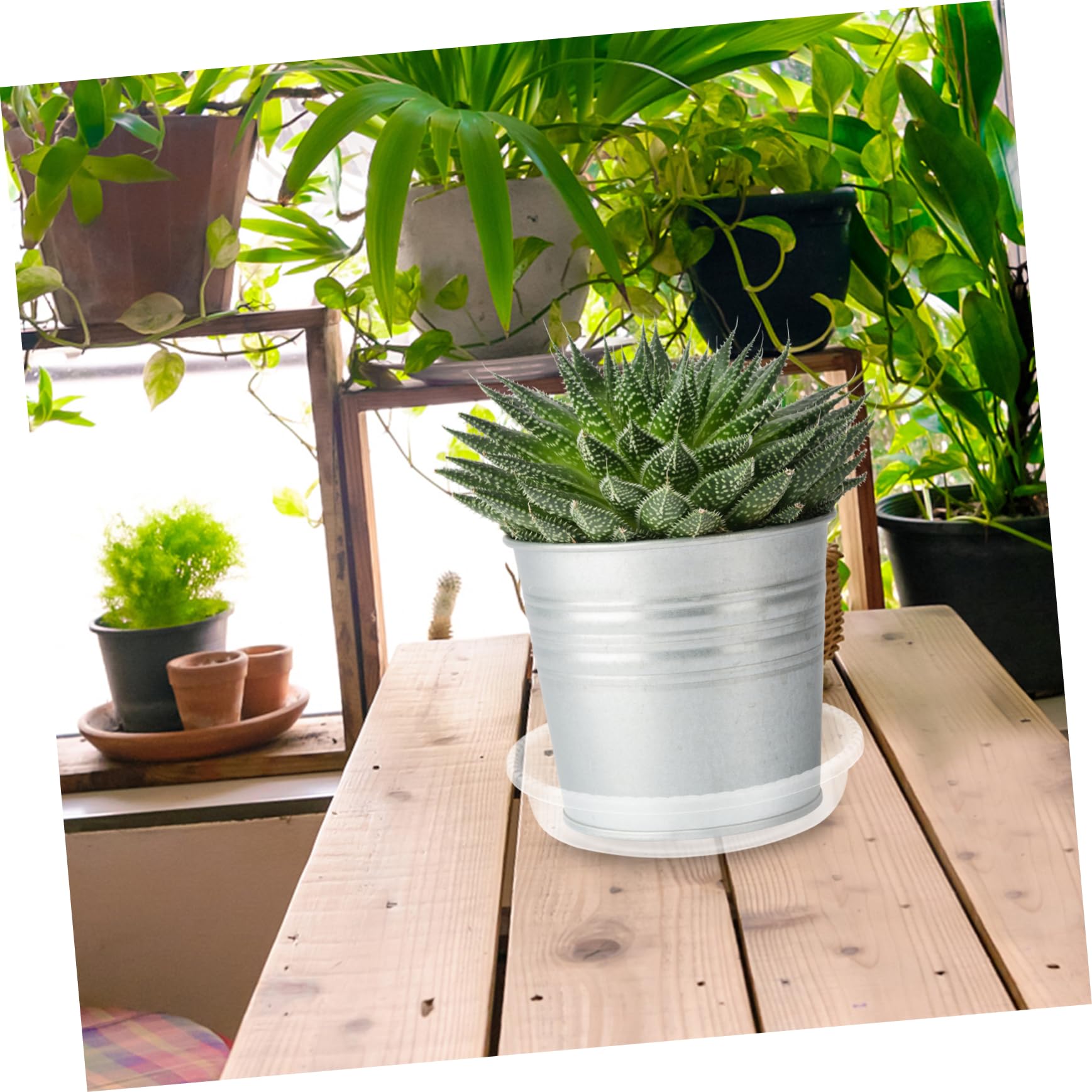 Toddmomy 30stücke Runde Blumentopf-untersetzer Wasserschalen Für Erdbewässerung Sauber Halten Einfach Zu Reinigen