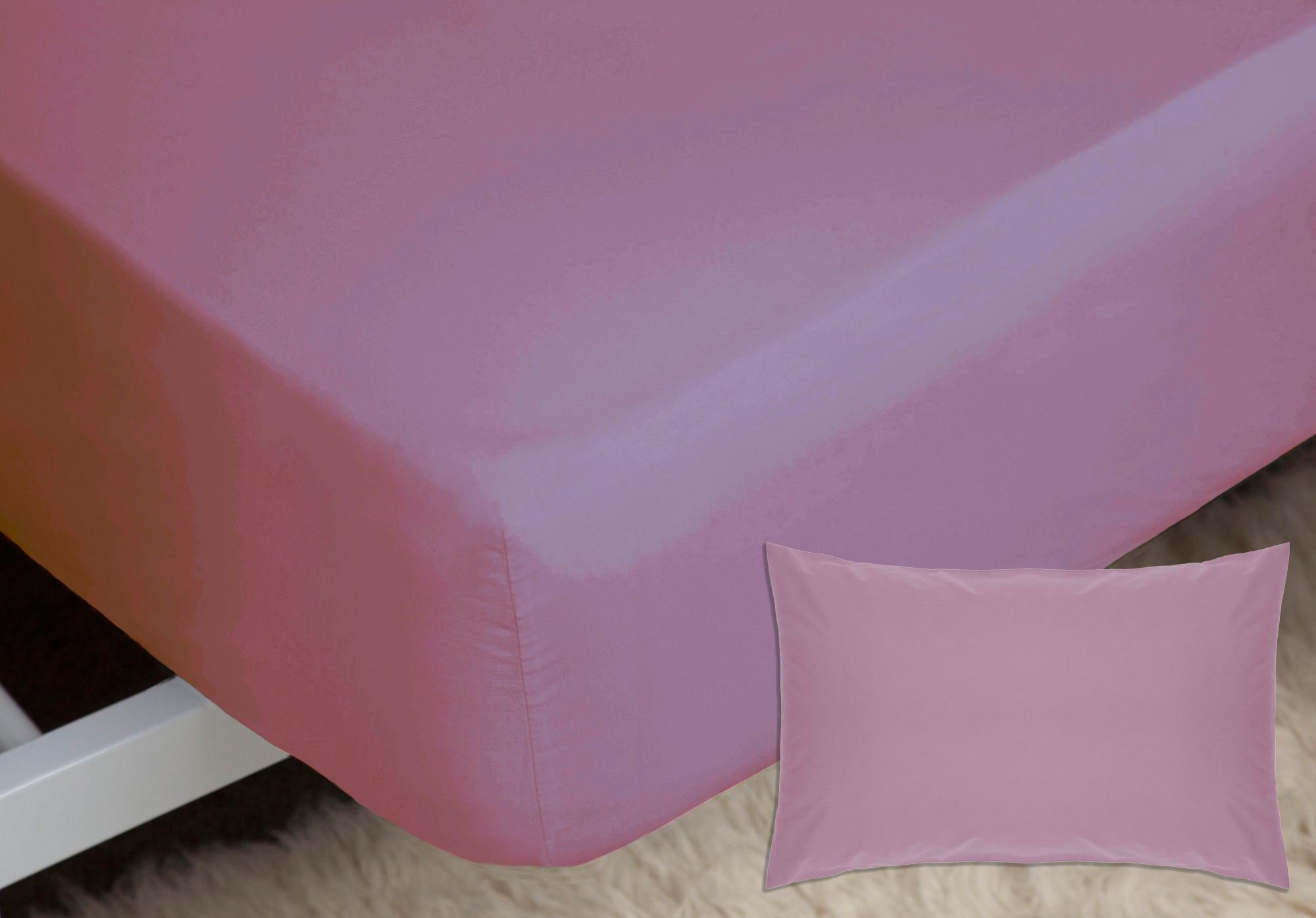 Belledorm Luxury Fitted Bed Sheet With Matching FREE 2 X PILLOW CASE Plain Dyed Poly Cotton Percale Easy Care Bed Sheet Genuine 50% cotton 50% polyester (Single, Misty Rose) โ image 1