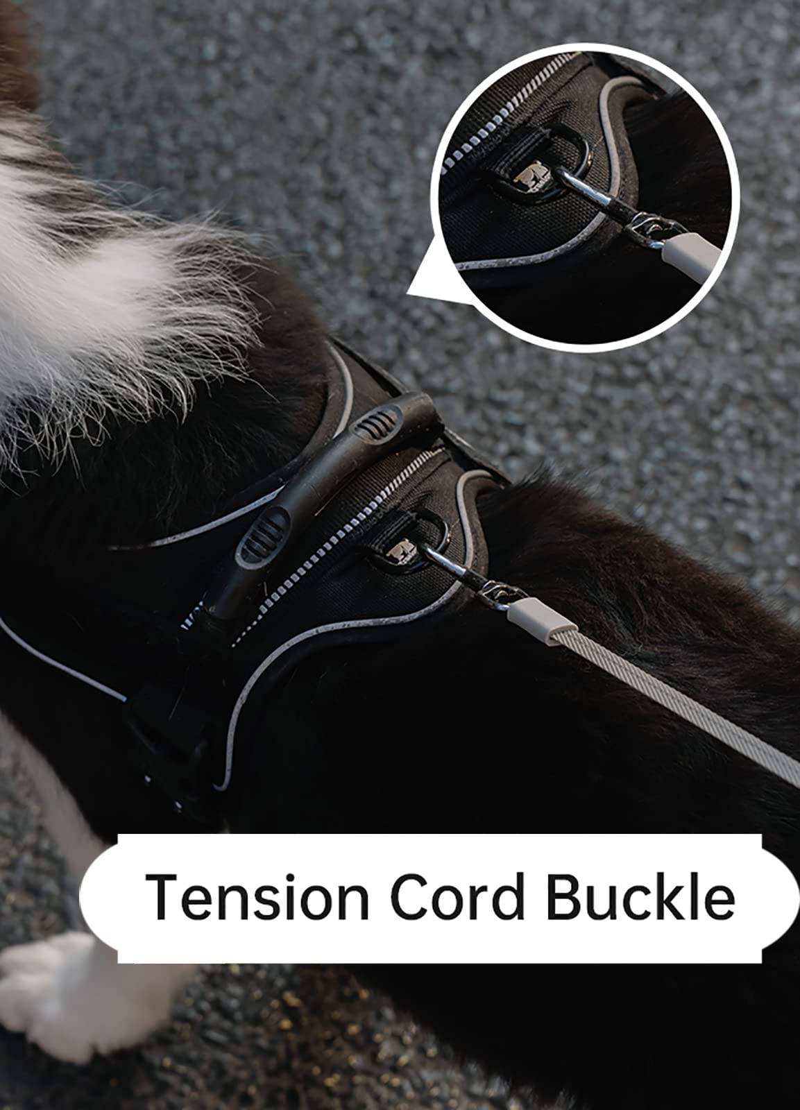 Laisse Chien Rétractable Réfléchissante, 360 ° sans Enchevêtrement Laisse Chien Enrouleur, Laisses Rétractables avec Lumière LED Et Distributeur pour Chiens,50kg (3m/10ft)