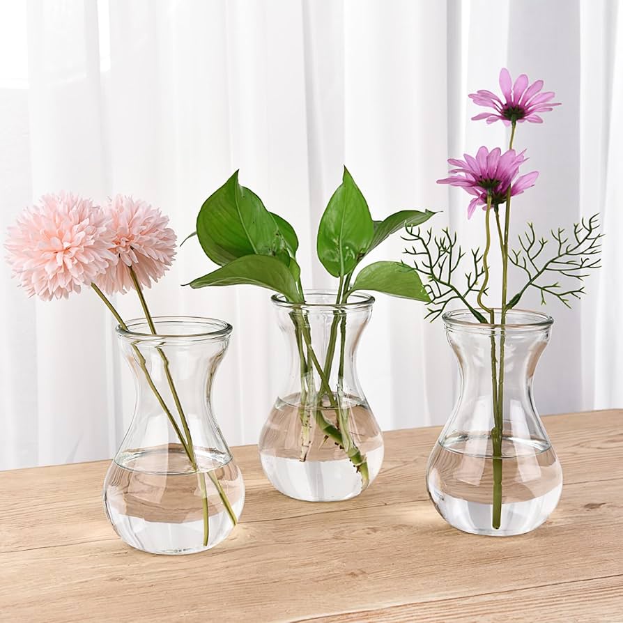 ウオーターヒヤシンス 花瓶 Amazon.co.jp: Amosfun 4個 ヒヤシンス花瓶 家の花瓶の装飾 水耕