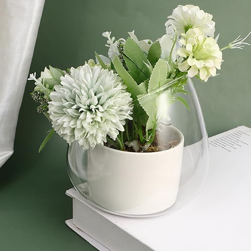 Miniatura 9 de Angoily Planta transparente de terrario de vidrio de corte inclinado, cuenco de burbujas para terrario para suculentas, maceta decorativa para