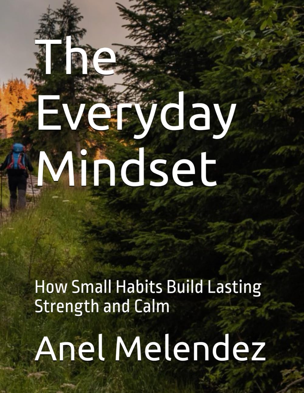The Everyday Mindset: How Small Habits Build Lasting Strength and Calm
