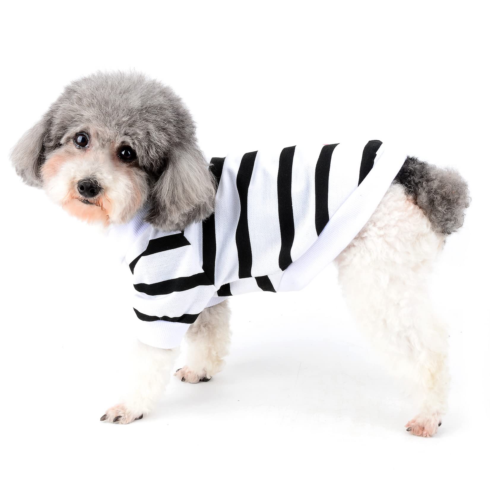 Zunea Dog Shirts for Small Dogs Summer Basic T-Shirt Striped Puppy Clothes Sequins Love Heart Sweatshirt Soft Cotton Short Sleeve Tee Shirt Pet Clothing Pullover Chihuahua Apparel White XS - Image 2
